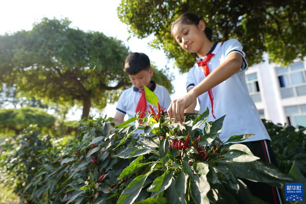 免费送分可退现金电玩